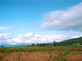 fotografia, materiale, libero il panorama, dipinga, fotografia di scorta,La terra, , , , 