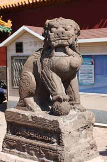 photo,material,free,landscape,picture,stock photo,Creative Commons,Shenyang Imperial Palace Lion, , , , 