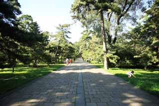 photo,material,free,landscape,picture,stock photo,Creative Commons,Fuling Tomb Shinto, , , , 