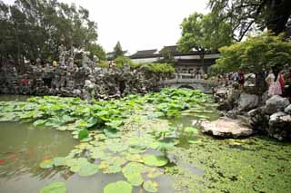 photo,material,free,landscape,picture,stock photo,Creative Commons,Lingering Garden pond, , , , 