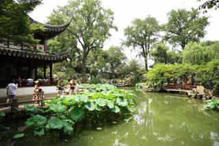 photo,material,free,landscape,picture,stock photo,Creative Commons,Lingering Garden pond, , , , 