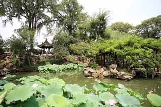 photo,material,free,landscape,picture,stock photo,Creative Commons,Lingering Garden pond, , , , 