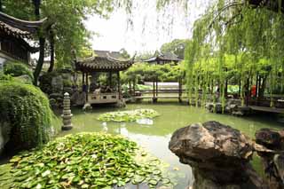 photo,material,free,landscape,picture,stock photo,Creative Commons,Lingering Garden pond, , , , 