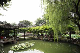 photo,material,free,landscape,picture,stock photo,Creative Commons,Lingering Garden pond, , , , 