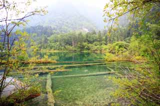 photo, la matire, libre, amnage, dcrivez, photo de la rserve,Jiuzhaigou, , , , 