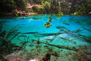 photo,material,free,landscape,picture,stock photo,Creative Commons,Jiuzhaigou Gohanaumi, , , , 