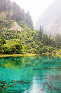 photo,material,free,landscape,picture,stock photo,Creative Commons,Jiuzhaigou Gohanaumi, , , , 