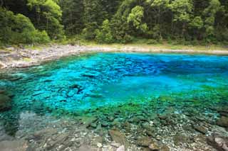 foto,tela,gratis,paisaje,fotografa,idea,Cinco colores de Jiuzhaigou estanque, , , , 