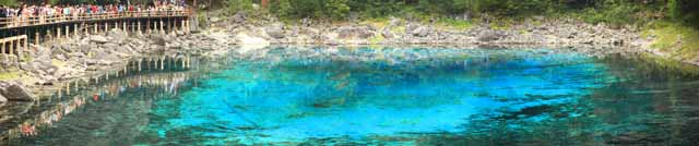 foto,tela,gratis,paisaje,fotografa,idea,Cinco colores de Jiuzhaigou estanque, , , , 