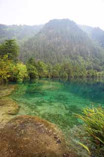 photo,material,free,landscape,picture,stock photo,Creative Commons,Jiuzhaigou Saiushiumi, , , , 