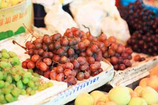 photo,material,free,landscape,picture,stock photo,Creative Commons,Grapes stalls, , , , 
