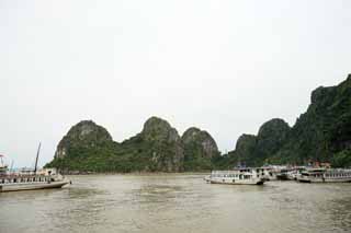 photo,material,free,landscape,picture,stock photo,Creative Commons,Halong Bay Daugo Island, , , , 