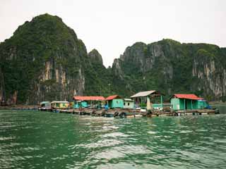 photo,material,free,landscape,picture,stock photo,Creative Commons,Halong Bay Maritime house, , , , 