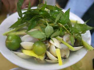 photo,material,free,landscape,picture,stock photo,Creative Commons,Steamed shellfish, , , , 