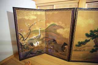 Foto, materiell, befreit, Landschaft, Bild, hat Foto auf Lager,In Kumamoto Castle, , , , 