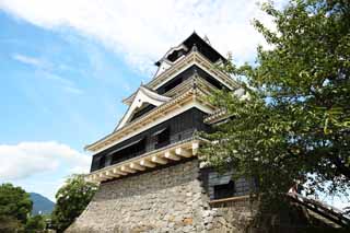 photo,material,free,landscape,picture,stock photo,Creative Commons,At Kumamoto Castle, , , , 