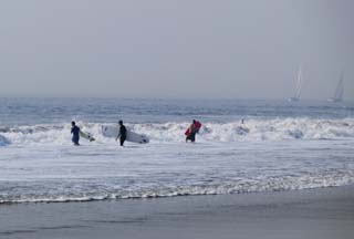 fotografia, material, livra, ajardine, imagine, proveja fotografia,O desafio de surfistas, surfando, onda, mar, prancha de surfe