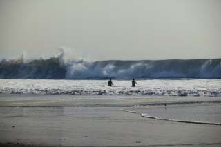 photo,material,free,landscape,picture,stock photo,Creative Commons,Big beachcomber, sandy shore, wave, billows, bathing beach