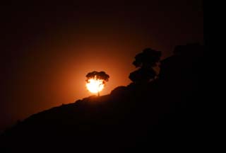 Foto, materiell, befreit, Landschaft, Bild, hat Foto auf Lager,Baum, der zu Abendsonne schmilzt, Die Sonne, Die Rahmensonne, , 