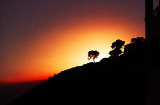 photo,material,free,landscape,picture,stock photo,Creative Commons,Burning evening glow, sunset, The setting sun, tree, silhouette