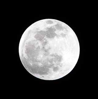 fotografia, material, livra, ajardine, imagine, proveja fotografia,Full Moon, , , , 