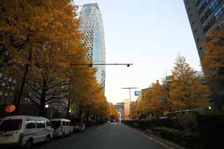 photo,material,free,landscape,picture,stock photo,Creative Commons,Shinjuku high rise building of dusk, , , , 