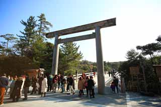 ,,, ,,,   Torii, , , , 