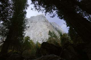 photo,material,free,landscape,picture,stock photo,Creative Commons,Cliff, cliff, rock, Granite, big tree