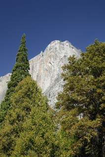 photo,material,free,landscape,picture,stock photo,Creative Commons,It looks up at the cliff. , cliff, rock, forest, tree