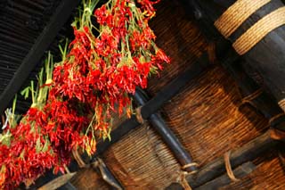 photo,material,free,landscape,picture,stock photo,Creative Commons,Cayenne in attic, Architecture with principal ridgepole, Thatching, private house, red pepper