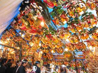 fotografia, materiale, libero il panorama, dipinga, fotografia di scorta,Omori Ootori jinja sacrario di Tori, , , , 