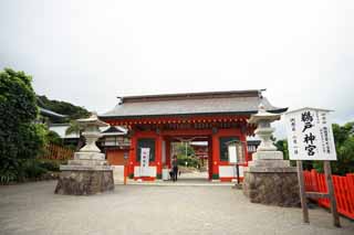 ,,, ,,,Udojingu, , , , 