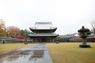 photo,material,free,landscape,picture,stock photo,Creative Commons,Temple of Ruuge, Buddhism, temple, roof, temple