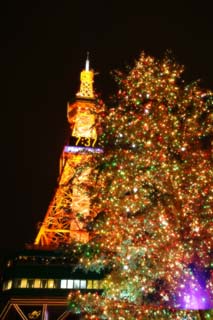 Foto, materieel, vrij, landschap, schilderstuk, bevoorraden foto,EEN Kerst boom en een toren, Avond lucht, X'mas, Illuminering, Toren