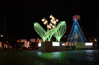 photo, la matire, libre, amnage, dcrivez, photo de la rserve,Objet de l'art des illuminations, ciel de la nuit, lumire, Illumination, lis de la valle