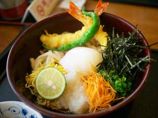 photo,material,free,landscape,picture,stock photo,Creative Commons,Cold udon noodles with vegetable tempura, , , , 