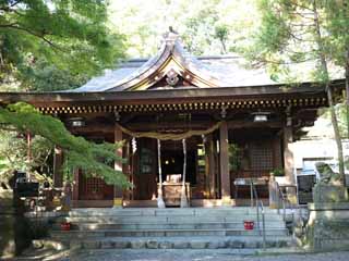 photo,material,free,landscape,picture,stock photo,Creative Commons,Aso shrine, , , , 