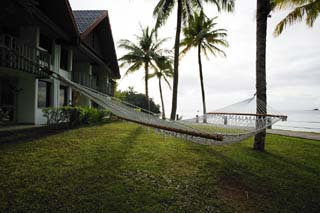 photo,material,free,landscape,picture,stock photo,Creative Commons,Afternoon of a hammock, hammock, coconut tree, resort, lawn