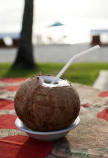 fotografia, materiale, libero il panorama, dipinga, fotografia di scorta,Un cocco speciale pugno di agnello, cocco, Bibita, Liquore, paglia