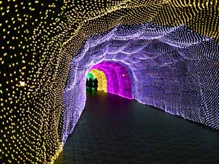 photo,material,free,landscape,picture,stock photo,Creative Commons,Light Tunnel, , , , 