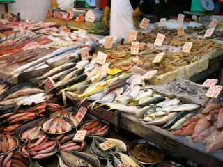 photo,material,free,landscape,picture,stock photo,Creative Commons,Fish dealer, , , , 