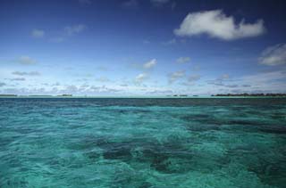 Foto, materiell, befreit, Landschaft, Bild, hat Foto auf Lager,Das Meer, das es klar ist, und Gehen, Insel, Koralle, , Wasser