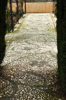 photo,material,free,landscape,picture,stock photo,Creative Commons,Generalife cypresses corridor, , , , 