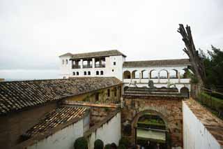 photo,material,free,landscape,picture,stock photo,Creative Commons,Generalife Sultan of the courtyard, , , , 