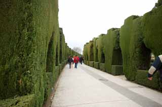 photo,material,free,landscape,picture,stock photo,Creative Commons,Alhambra Palace, , , , 