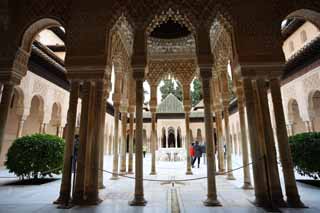 photo,material,free,landscape,picture,stock photo,Creative Commons,Alhambra Palace Lion patio, , , , 