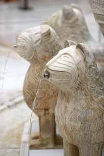 photo,material,free,landscape,picture,stock photo,Creative Commons,Alhambra Palace Lion patio, , , , 