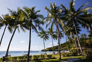 Foto, materiell, befreit, Landschaft, Bild, hat Foto auf Lager,Ein privater Strand des Nachmittages, sandiger Strand, Lasi, Kokosnussbaum, Urlaubsort