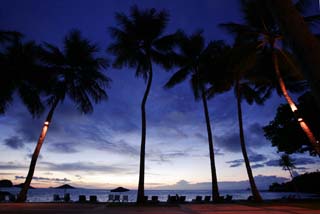 photo,material,free,landscape,picture,stock photo,Creative Commons,It is a private beach at dark, beach umbrella, sandy beach, coconut tree, The shore