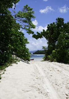 fotografia, materiale, libero il panorama, dipinga, fotografia di scorta,Un percorso di paese meridionale, spiaggia sabbiosa, Il mare, spiaggia, strada